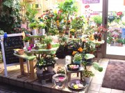 「ハナサク」　（宮城県仙台市青葉区）の花屋店舗写真2